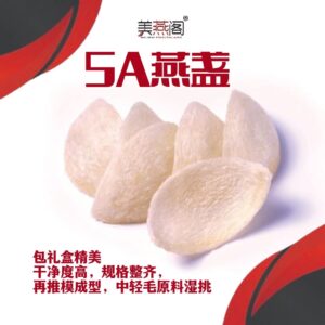 5A燕盏 (Moulding Shape)